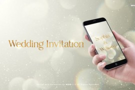 Wedding Invitation 51474433