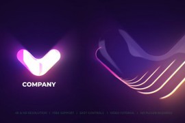 Logo Animation 52165258