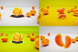 Cheerful Oranges Logo Reveals 46887843