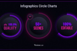 Infographics Circles 43836316