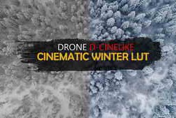 GNProduction – D-Cinelike Drone Winter Lut