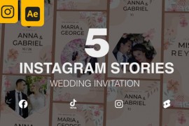 Wedding Invitation Instagram Stories 5 in 1 46807235