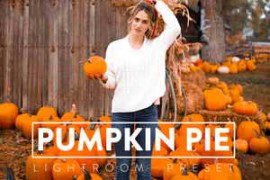 Free Download:FilterGrade – PUMPKIN PIE Lightroom Mobile and Desktop Presets