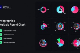 Multiple Round Chart Infographics 52499051