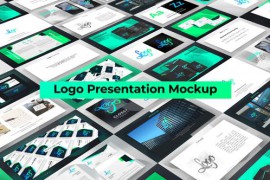 Logo Mockup 30253264