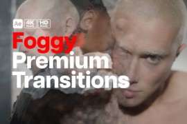 Premium Transitions Foggy 52243907