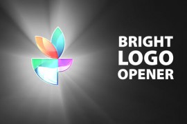 Bright Logo Opener 44947794