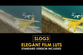 Slog3 Elegant Film and Standard Color LUTs 51061263