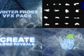 Winter Frost VFX Pack for Premiere Pro 43362405