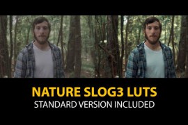 Slog3 Nature and Standard Color LUTs 48789988