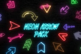 Neon Arrow Pack 48999982