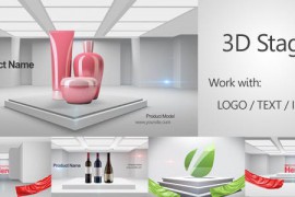 3D Stage 3D Promo 4551326