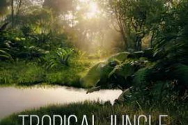 Boom Library Tropical Jungle 3D Surround / Stereo WAV