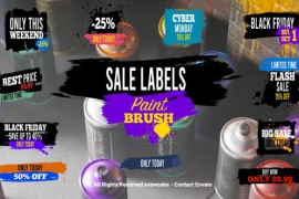 Sale Labels Paint Brush 51654377