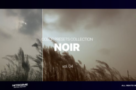 Noir LUT Vol. 04 for DaVinci Resolve 48999744