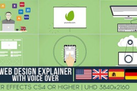 Web Design Explainer With Voice Over 13424208