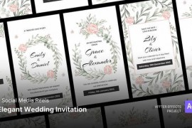 Social Media Reels - Elegant Wedding Invitation After Effects Template 47695895