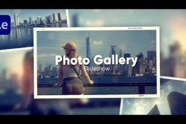 Slideshow - Photo Slideshow 51547381