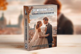 Top 30 Professional Cinematic Wedding LUTs For Wedding Filmmakers - Part 13 49759986