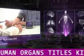 Human Organs Titles Kit 45504697