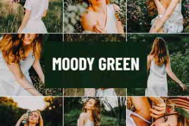 Free Download:Psd Stack – Moody Green Lightroom Preset