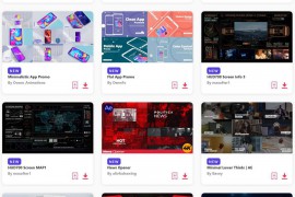 2023.5.31.18.Set.AE.Templates