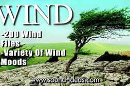 Sound Ideas Wind WAV