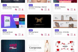 2024.4.27.9.Set.AE.Templates