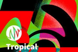 PSE The Producer’s Library Tropical Rainforest WAV-FANTASTiC