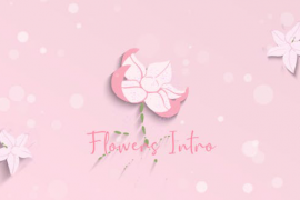 Women's Day Flowers Logo Reveal 50943675