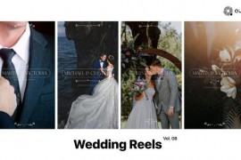 Wedding Reels Vol. 08 49307280