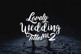 Lovely Wedding Titles Vol 2 17100323