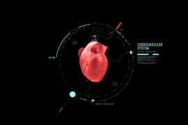 HUD Heart Chambers 44587954