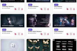 2023.11.8.39.Set.AE.Templates