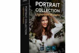 Tomas Havel – Portrait Collection Lightroom Presets 
