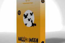 Orange Free Sounds Halloween Creepy Sounds WAV