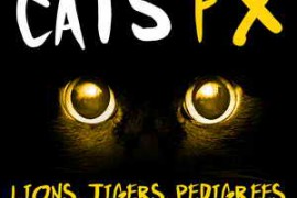 The Feline Effectors Cats FX Lions Tigers Pedigrees Tabbies &amp; More WAV