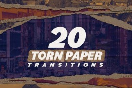 Paper Transitions 46175122