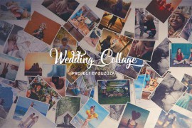 Wedding Collage 21895757