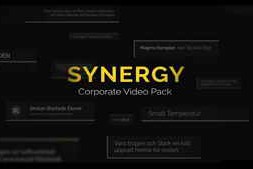 RocketStock - Synergy: 65 Corporate Video Elements
