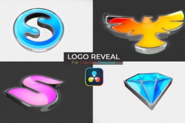 Logo Reveal 47810271