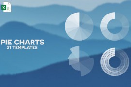 21 Pie Charts | Infographics Pack 39879429