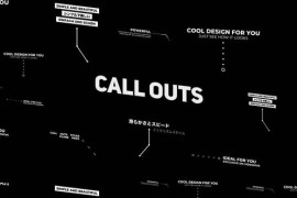 Call Outs 32712893