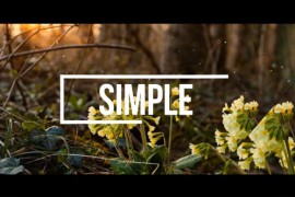 Elegant Slideshow 16726098