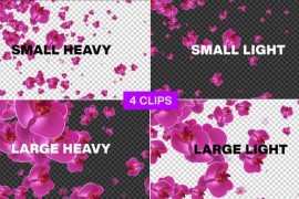 Flowers Falling Pack Alpha V7 46362510