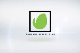 Elegant Logo Reveal 13 Premiere Pro 48976489