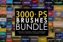 CreativeMarket – 3000 Photoshop Stamp Brushes Bundle 5657270
