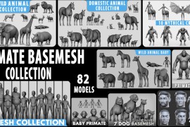 Superhive – Ultimate Basemesh Collection