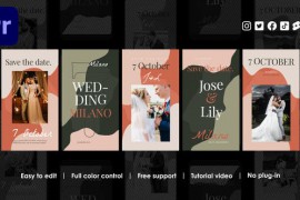 Marriage Instagram Reels 48694999