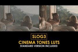Slog3 Cinema Tones and Standard Color LUTs 51103887